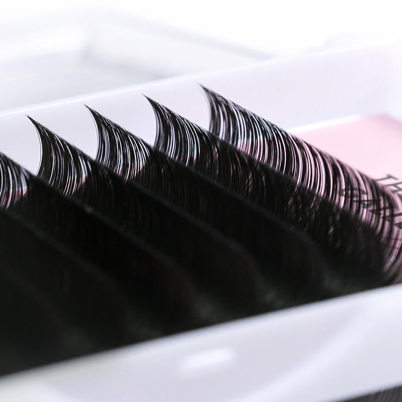 CC Curl Single Length Lash Trays
